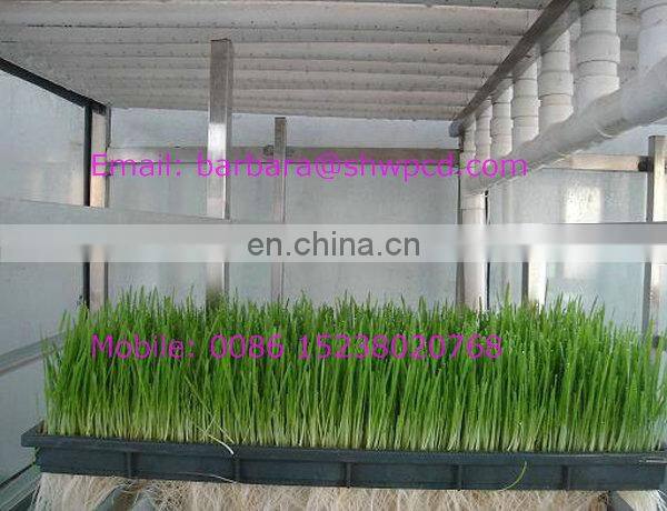 Hot Sale Fodder Sprouting Machines Hydroponic Fodder System Hydroponic Seeds Sprouting Equipment For Feed Processing Machines