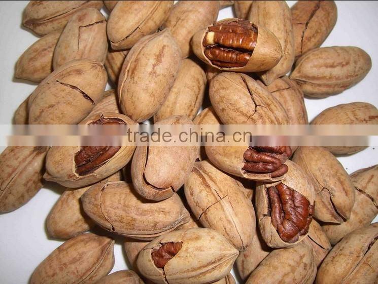 Pecans Color Sorting