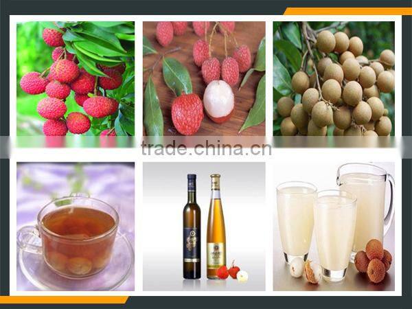Leader high quality fruit juice refiner for litchi