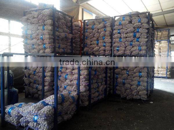 We can supply fresh garlic/ginger/potato/onion/chilli