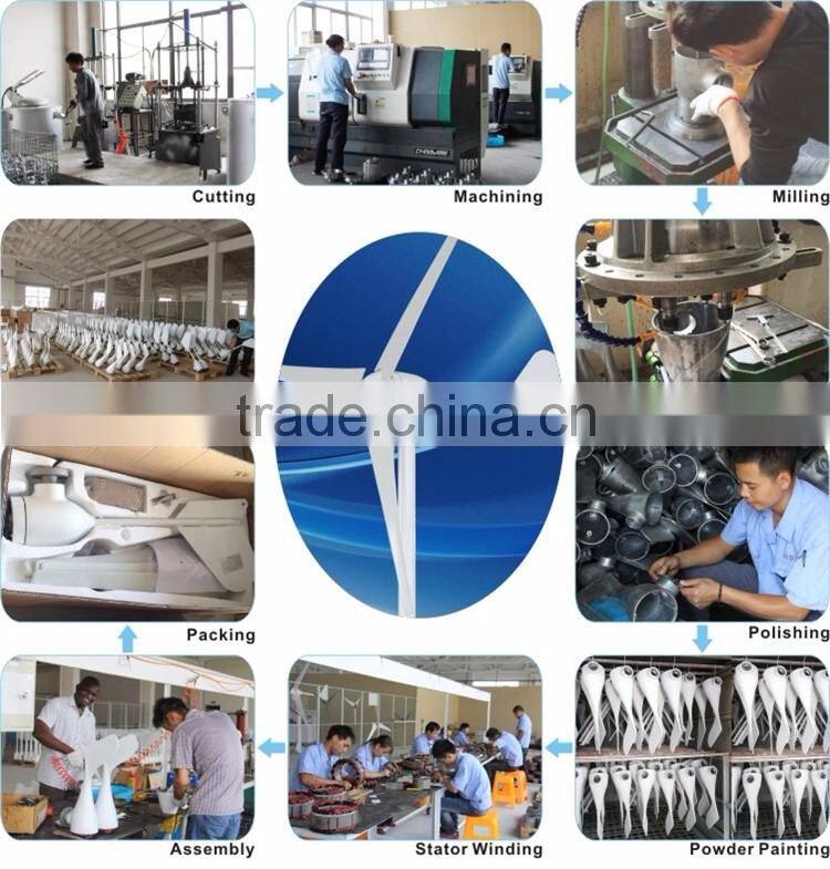 300w horizontal wind generator for sale