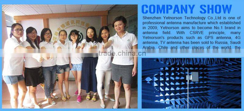 Hot sale 1575.42MHz GPS antenna internal active gps antenna for car navigation