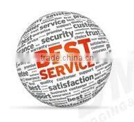 Industry Electronic Crane Scale with Hand Dynamometer