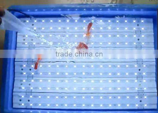 Double sided led backlit highway unipole