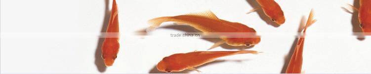 RORO Flourishing Luck craft home decorative crystal ashtray metal and pewter craft