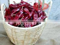 Chinese Dried Chili/chili peppers,American Red Chili