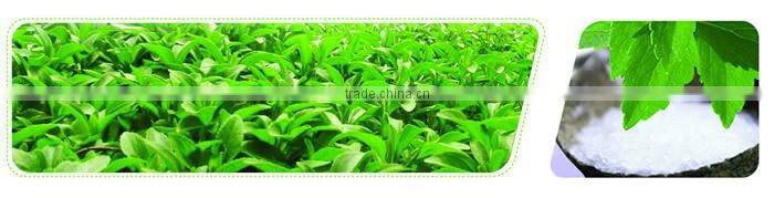 Natural food additive stevia extract