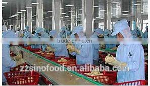 Canned Food Tin Canned Fruit Cocktail in Light Syrup