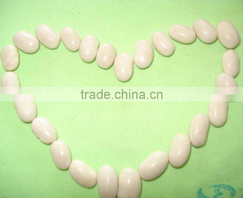 JSX Quality bean 2016 crop japanese kidney beans Sprouting selected white kidney beans