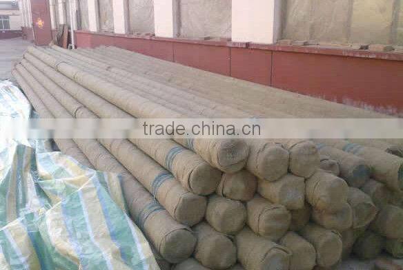 River treatment wedge wire water intake screen