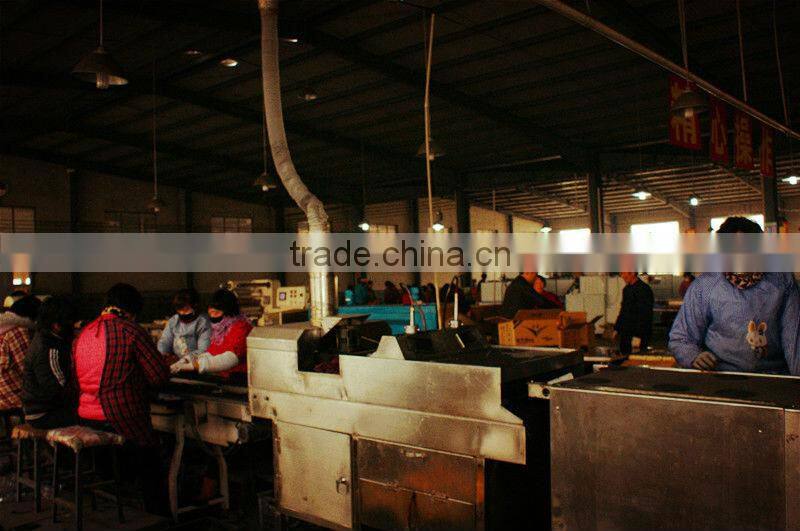 Africa market popular black mosquito coil killing mosquito incense