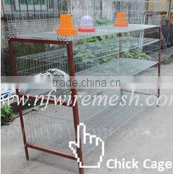 Canton Fair chicken layer cage and poultry equipment supplier manufacturer (Guangzhou Factory)