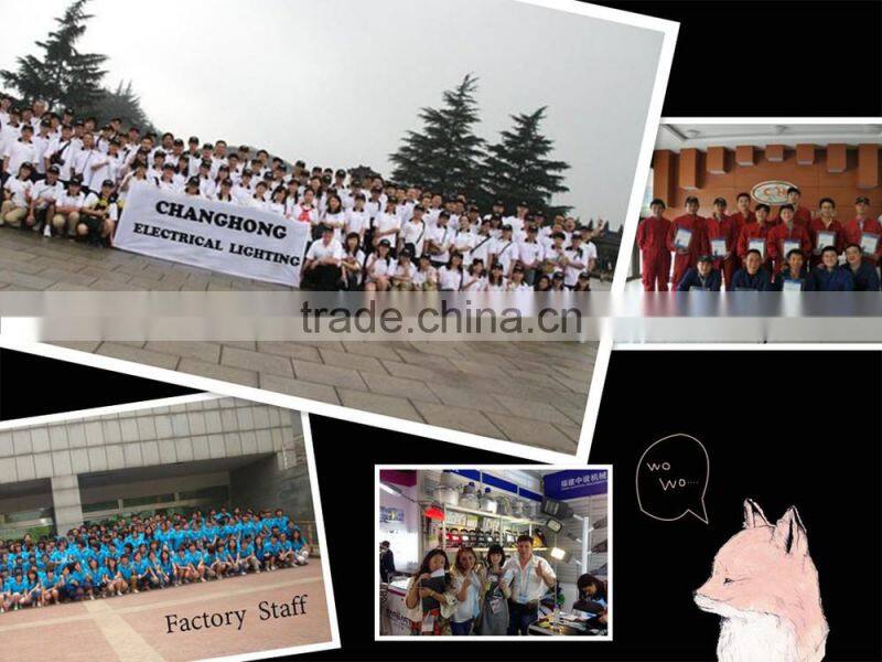 high lumens 120lm/w 30w / 50w cob led street light