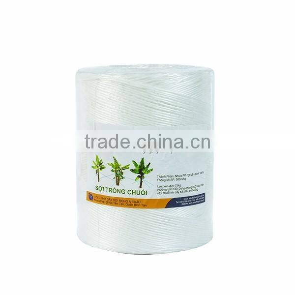 Colorful Polypropylene Twine