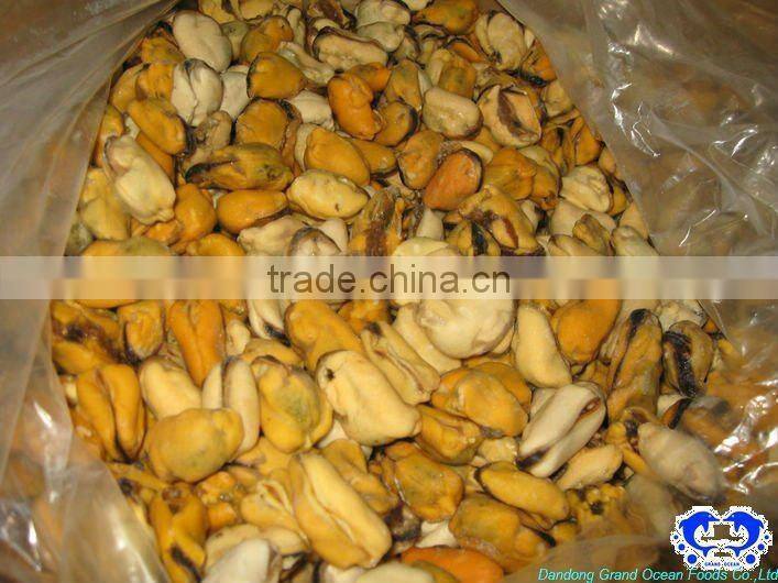 fresh frozen cooked mussel meat seafood