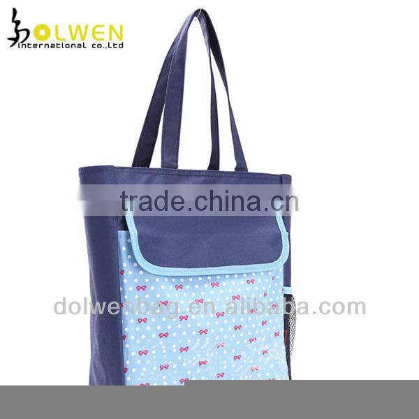 fashion ice bag cartoon ice bag picnic ice bag