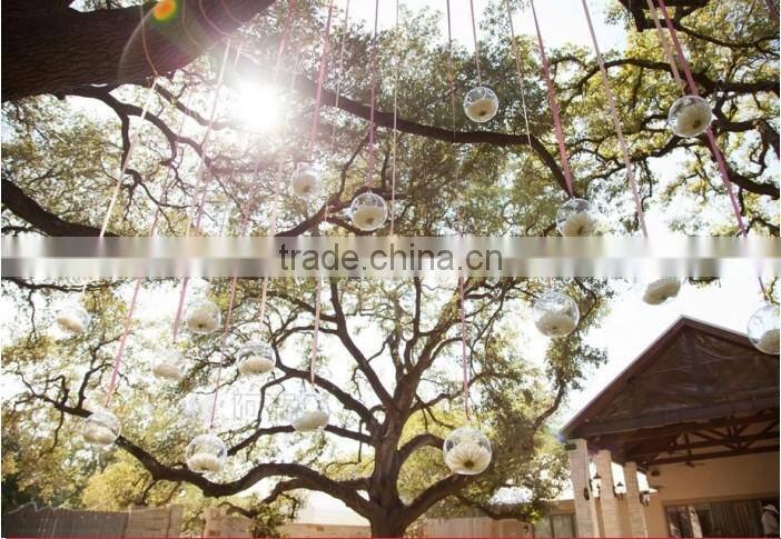 Modern Hanging Clear Round Crystal Glass Vase Flower Balls Terrarium Vases For Wedding Decoration Dia 8 cm