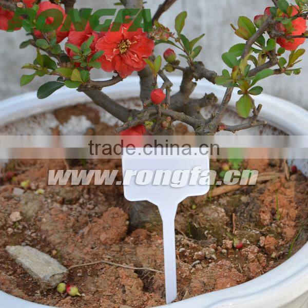 152mm biodegradable plastic t-type labels for garden