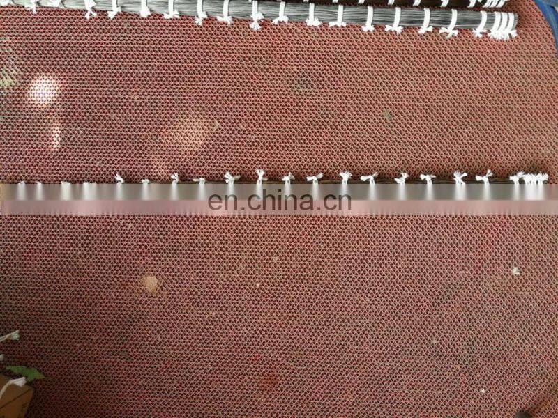 white horsetail hair/cheap horse tail hair/bundled horse tail hair