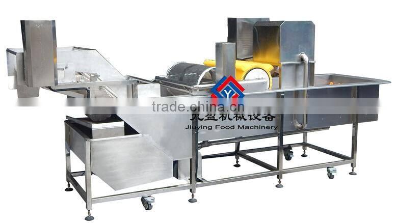 washer type leaf vegetable washing machinery