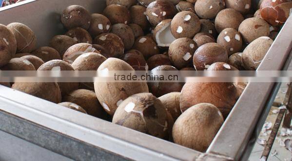 Organic coconut oil price for Sri Lanka