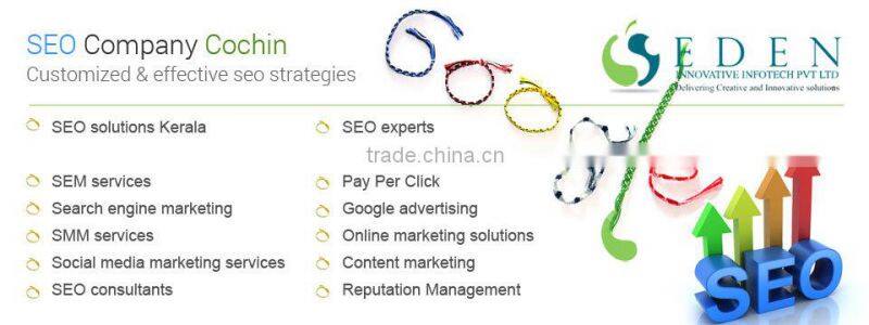 Professional search engine optimization