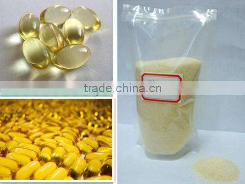 fish gelatin