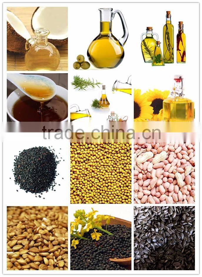 China virgin ginger oil extraction machinery for edible seasonings,cooking moringa seed oil extraction machine