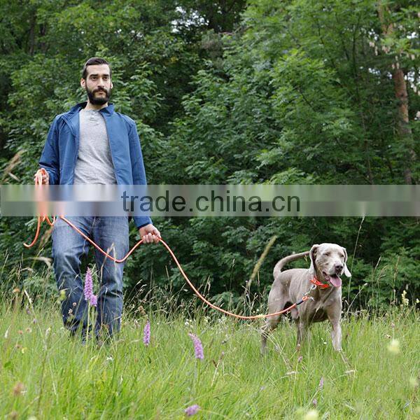 waterproof tpu webbing dog leash with rustproof alloy snap hook