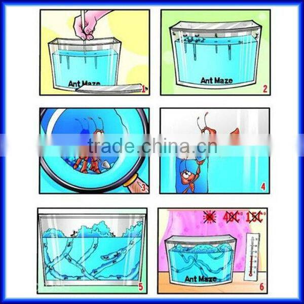 High quality Wholesale Magic Toy Ant Farm for children Education of Ant Worker