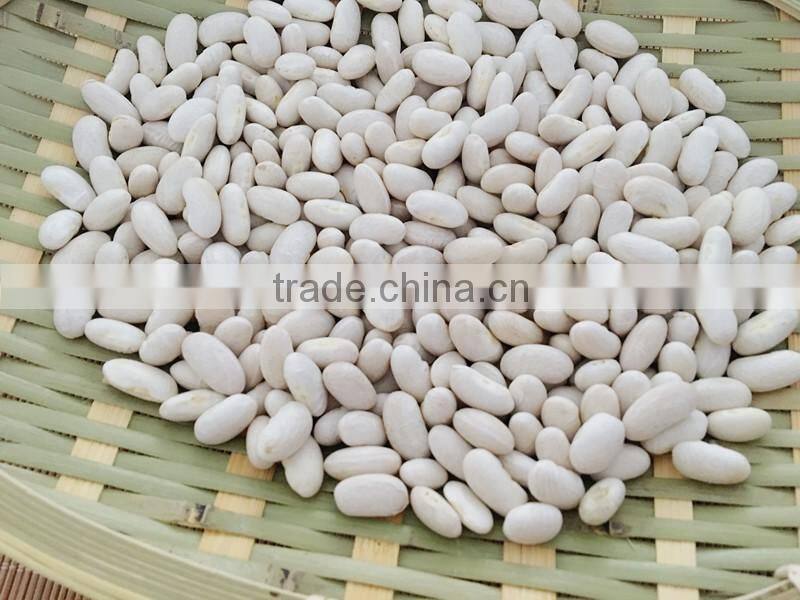 China Spanish White Kidney Beans
