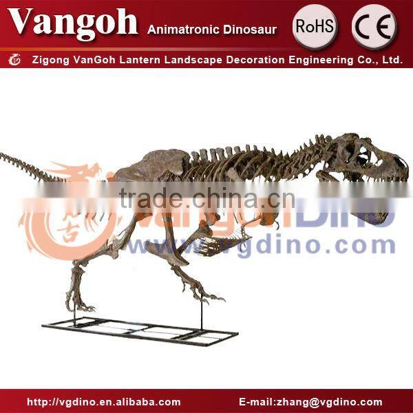 dinosaur fossil skeleton dino