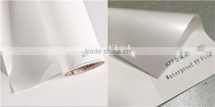 Dye pp paper, Eco-solvent pp paper, Matte pp paper for poster advertising