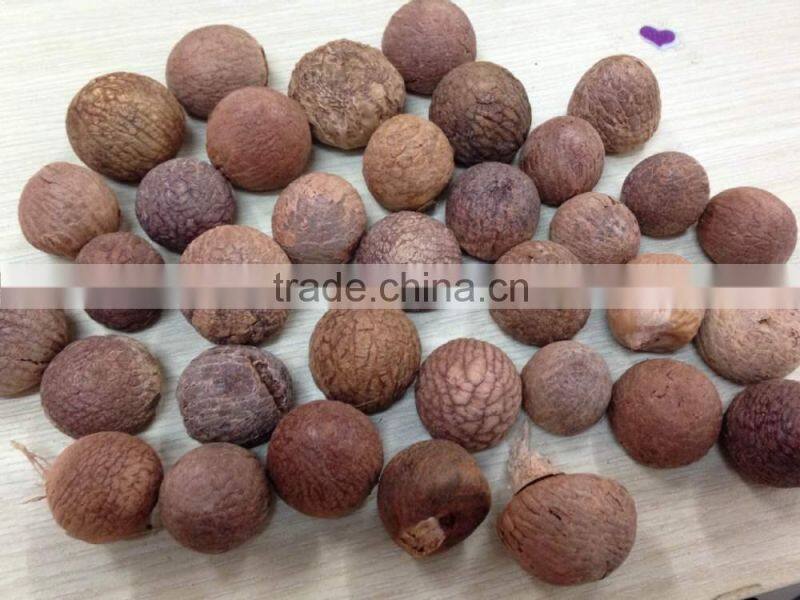 SELLING BOILED BETEL NUT without Wrinkle seeds FROM VIETNAM