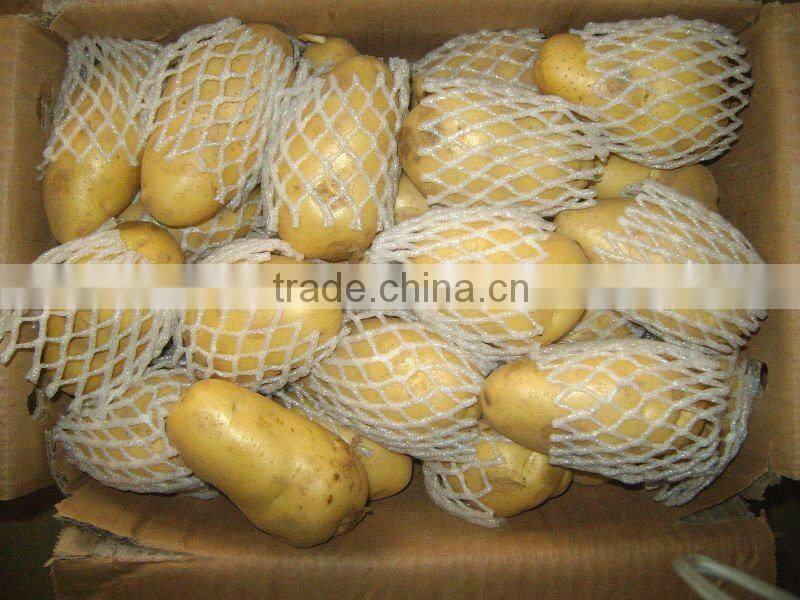 2016 china fresh potato