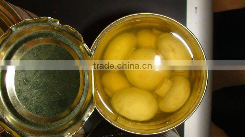 Canned sliced Mushroom