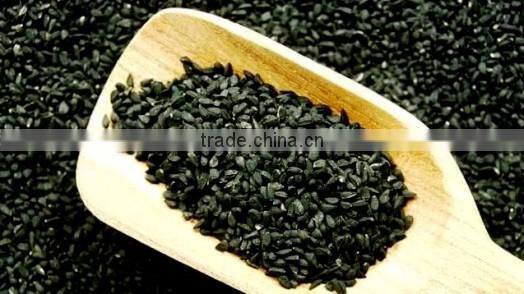 Nigella sativa seeds