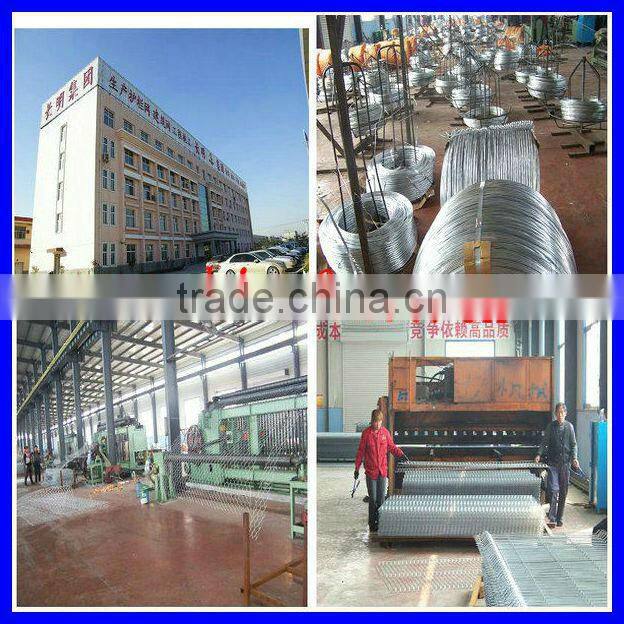 China factory high quality welded wire mesh panel/wall building mesh/reinforcing mesh
