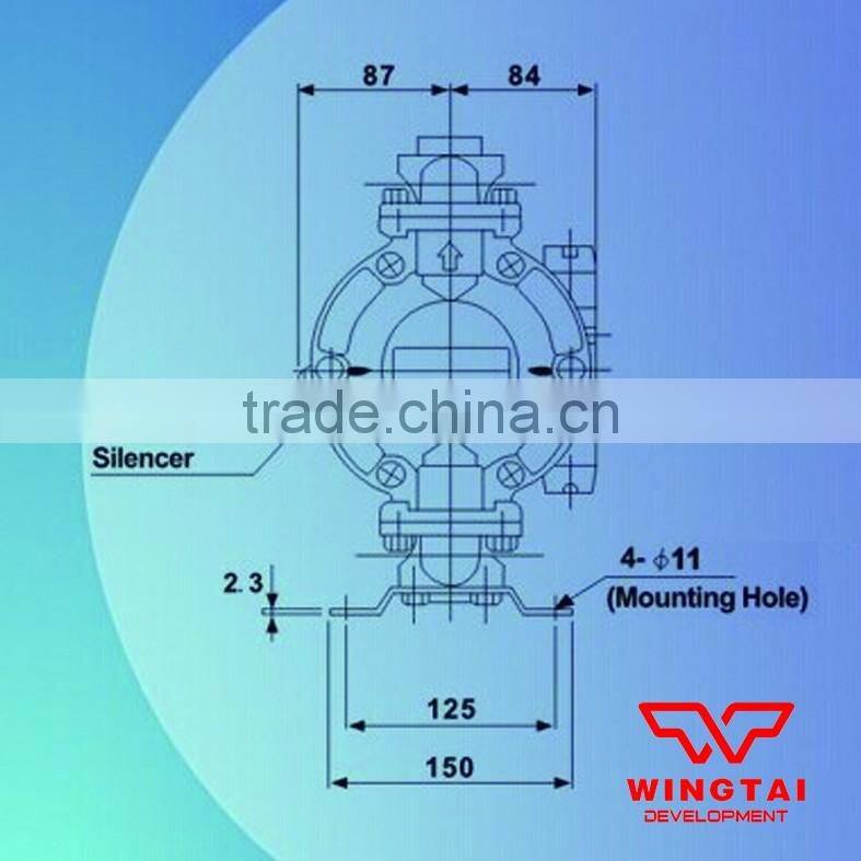 3/4'' Double Pneumatic PTFE Membrane Ink Pump 20#
