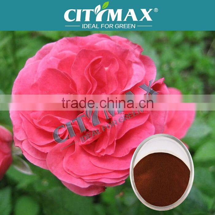 Potassium Humate Fulvate Acid Powder