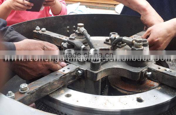 Vertical Pellet mill,pellet machine,pellet solution with superior alloy steel ring die