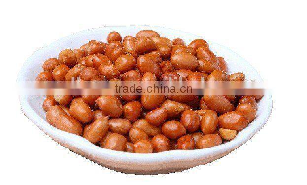 continuous frying machines for vegetable