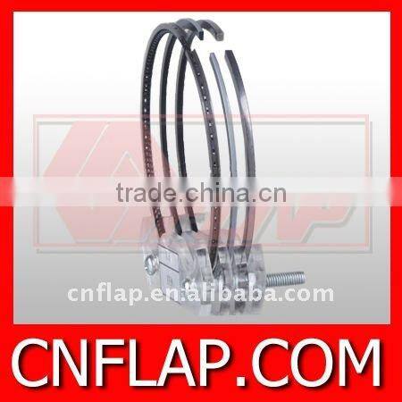 Promotion! IZUMI piston ring