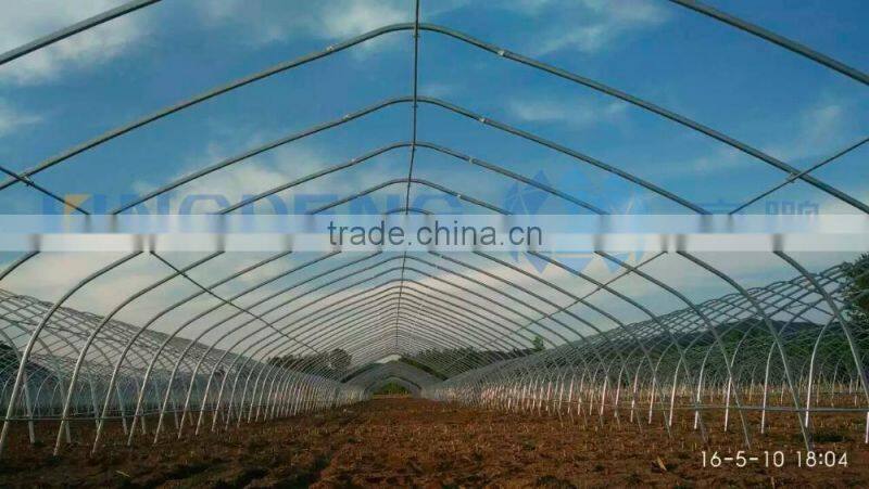 Tunnel Plastic Film Greenhouse