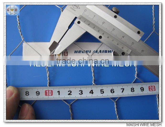 2-1/2" hot dipped galvanized hexagonal wire netting 2-1/2 inch 40mm*40mm