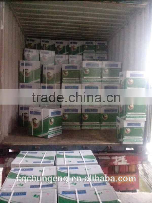 Low fuel Consumption gasoline engine of agricultural equipment