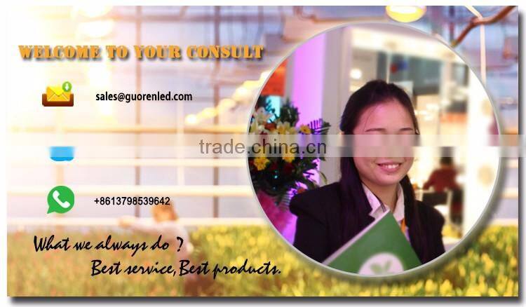 Online shopping grow tent kit hydroponics system,indoor plant supports 300w full spectrum led grow light