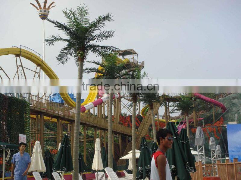Landscaping huge coconut trees