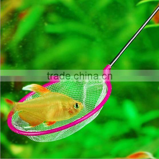 small landing net for aquarium goldfish