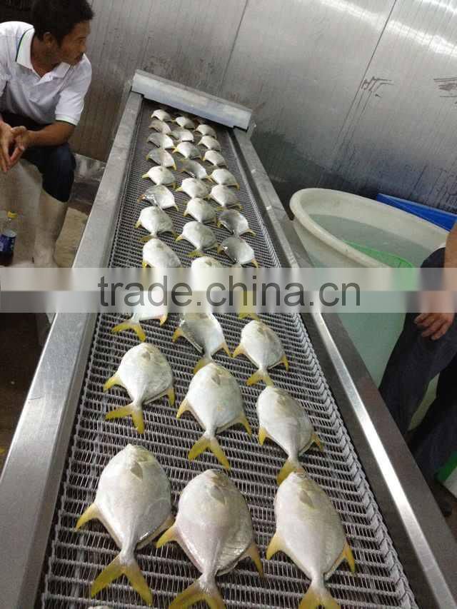 Golded pomfret China Suppliers